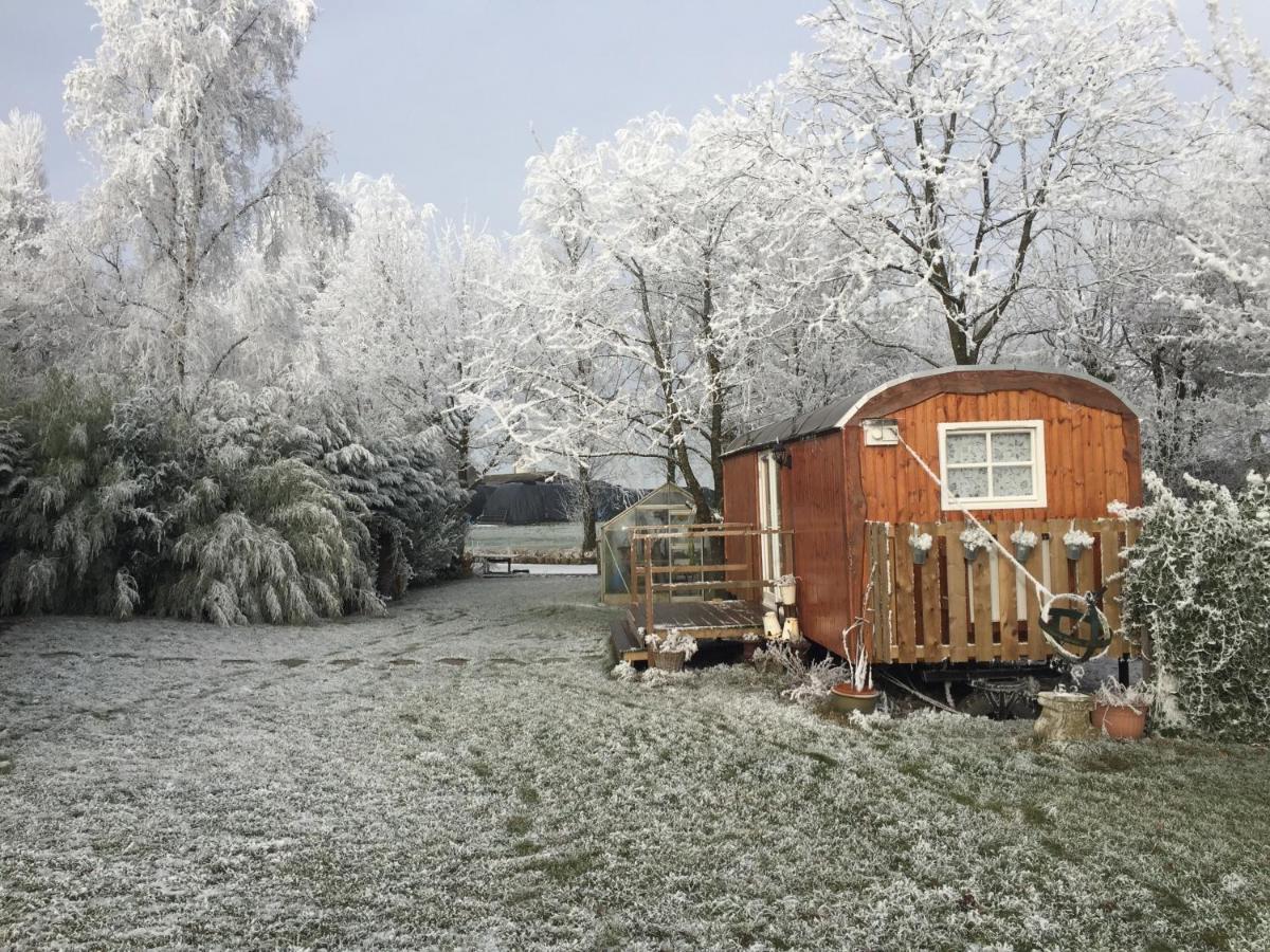 B&B Hetvrijdagsgevoel Sneek Zewnętrze zdjęcie